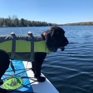 Meet your Posher, Kara